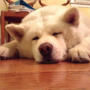 Meet your Posher, Karina